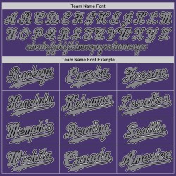 Maglia da baseball personalizzata autentica viola-nera-grigia Maglia da baseball personalizzata autentica viola-nera-grigia
